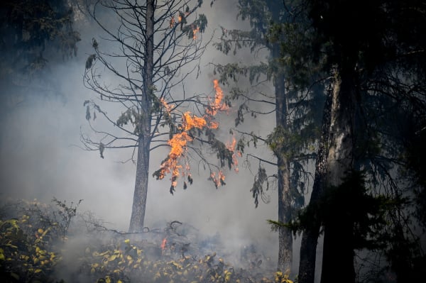 Φωτιά στον Βόλο: Χώροι φιλοξενίας για όσους εκκένωσαν τα σπίτια τους