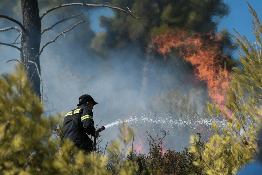 Φωτιά στο Δίστομο Βοιωτίας: Επιχειρούν επίγειες και εναέριες δυνάμεις