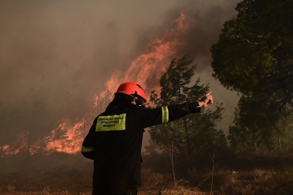 Αρκαδία: Φωτιά τώρα σε δασική έκταση στην περιοχή Σπαθάρης