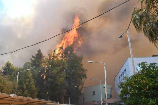 Φωτιά στην Πάτρα: Πήρε γρήγορα επικίνδυνες διαστάσεις, καρέ- καρέ η μάχη με τις φλόγες