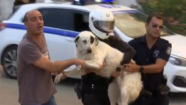 Φωτιά στη Μάνδρα: Αστυνομικοί μεταφέρουν αγκαλιά ένα τρομοκρατημένο σκυλάκι -Συγκινητική στιγμή