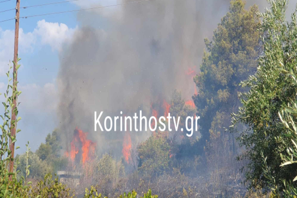 Φωτιά τώρα στην Κορινθία - Επιχειρούν δύο ελικόπτερα