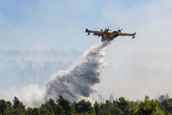 Μάχη με τις φλόγες στο Άγιο Όρος - Μαίνεται μεγάλη φωτιά