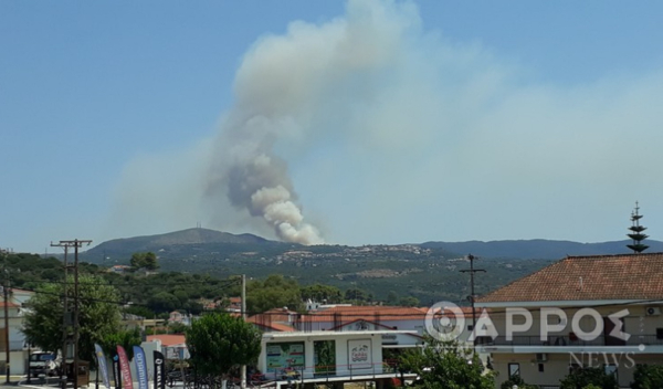 Μεγάλη φωτιά σε αγροτοδασική έκταση στο Ακριτοχώρι Μεσσηνίας