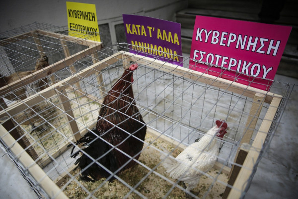 Στάση εργασίας γιατρών και νοσηλευτών σήμερα στα νοσοκομεία- Κόκορες και κότες έξω από το υπ. Υγείας (pics)