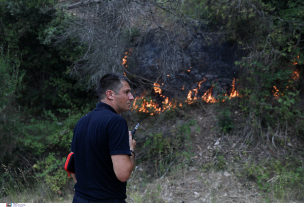 Έκδοση και αντικατάσταση διαβατηρίων - ταυτοτήτων ατελώς για όσους επλήγησαν από τις φωτιές