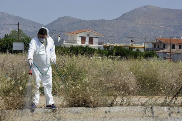 Ιός Δυτικού Νείλου: 19 νέα κρούσματα αυτή την εβδομάδα, η ανακοίνωση ΕΟΔΥ