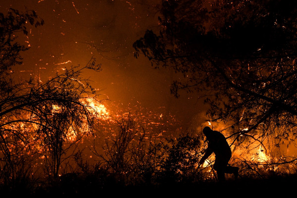 Υπό έλεγχο η φωτιά στη Ζάκυνθο μετά την άμεση κινητοποίηση της Πυροσβεστικής