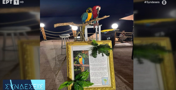 Κτηνωδία στη Χαλκιδική: Έκοψε τα φτερά παπαγάλων για να τους φωτογραφίζει με περαστικούς έναντι 10 ευρώ