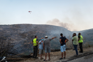 Φωτιά στην Πάρο: Κόντρα πάνω στα καμένα για τις ευθύνες - Τι λένε δήμαρχος και εργολάβος