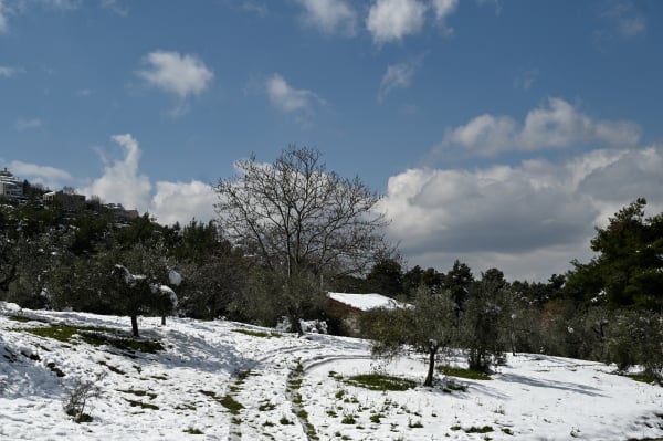 Καιρός: Τα χιόνια κάλυψαν το 12% της χερσαίας έκτασης της Ελλάδας