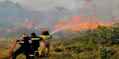 Σε ύφεση η μεγάλη φωτιά στην Μεσσήνη