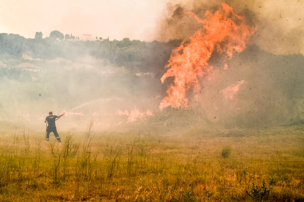 Καρέ- καρέ η μάχη με τις φλόγες στην Ηλεία - Συγκλονιστικές εικόνες