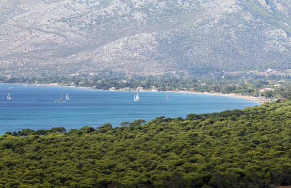 Γκρεμίζεται η δεύτερη αυθαίρετη ταβέρνα στο προστατευόμενο δάσος του Σχινιά