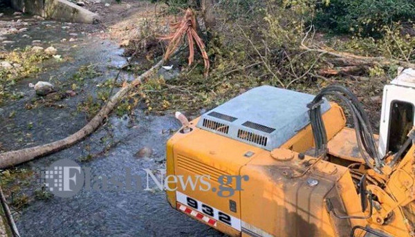 Τραγικός θάνατος για 67χρονο: Τον πλάκωσε ο πλάτανος