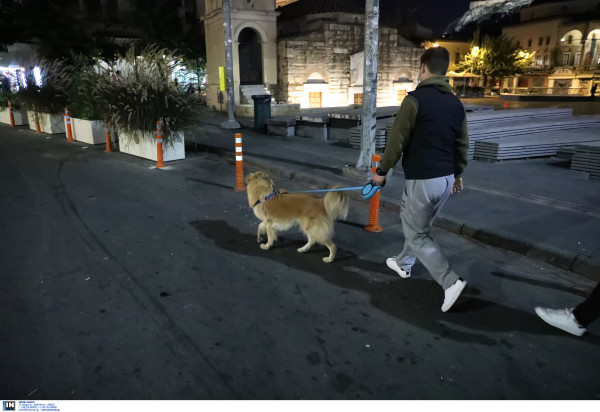 Απαγόρευση κυκλοφορίας: Οι κωδικοί στο 13033 για μετακίνηση το βράδυ, τι θα γίνει με το ωράριο στα σούπερ μάρκετ