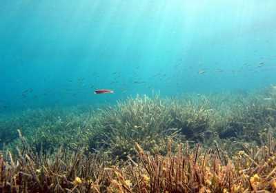 Αντιμετωπίστηκε πρόβλημα θαλάσσιας ρύπανσης από πετρελαιοειδή στη Χίο