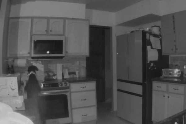 Η στιγμή που σκύλος «ανάβει» την κουζίνα και βάζει κατά λάθος φωτιά στο σπίτι