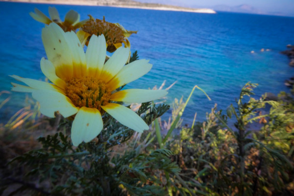 Αίθριος o καιρός αύριο Σάββατο, ανεβαίνει η θερμοκρασία (βίντεο)