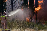 Στις φλόγες η Αχαΐα: Δύο τα πύρινα μέτωπα, κάηκαν σπίτια, εκκενώθηκαν χωριά - Στο νοσοκομείο τραυματίες, σε ετοιμότητα το ΕΚΑΒ