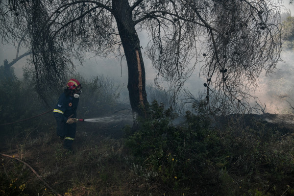 Αλεποχώρι: Αύριο κυβερνητικό κλιμάκιο για αποτίμηση ζημιών