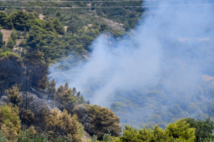 Ρέθυμνο: Σε ύφεση τα τρία μέτωπα της φωτιάς, καπνίζει ακόμα η γη