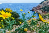 Σάκης Αρναούτογλου: Αλλαγή του καιρού την Κυριακή – Η πρόγνωση για τα επόμενα 24ωρα