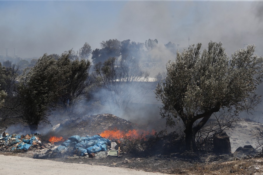 Φωτιά τώρα στη Χαλκιδική