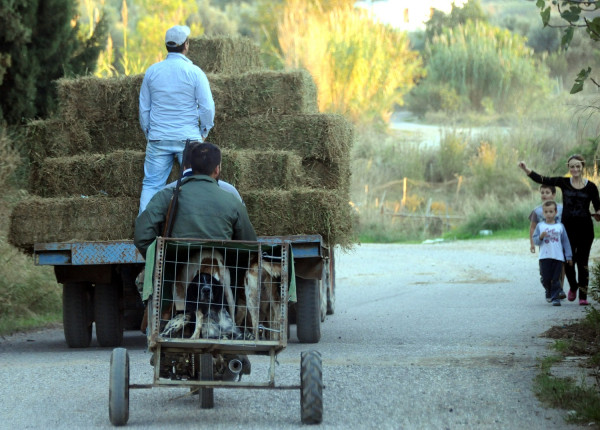 Παράταση απαγόρευσης για κυνήγι και ψάρεμα - Η εξαίρεση σε τρεις νομούς