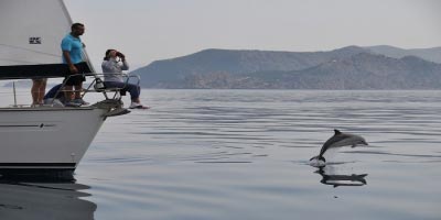 Τα ιδιωτικά σκάφη αναψυχής θα μπορούν ναυλώνονται