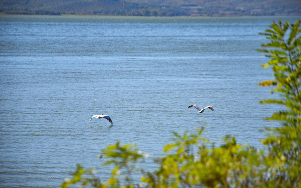 Απαγόρευση πρόσβασης σε δάση, περιοχές Natura