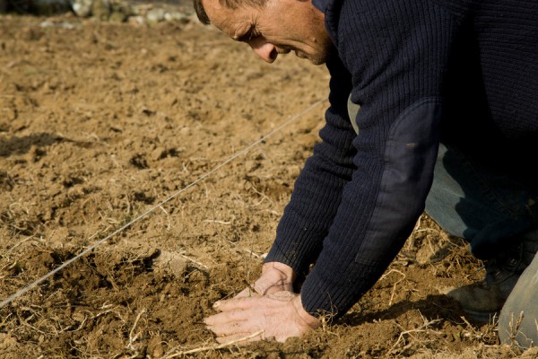 Εντός του Φεβρουαρίου το χρονοδιάγραμμα και ο τρόπος πληρωμής των ορυζοπαραγωγών