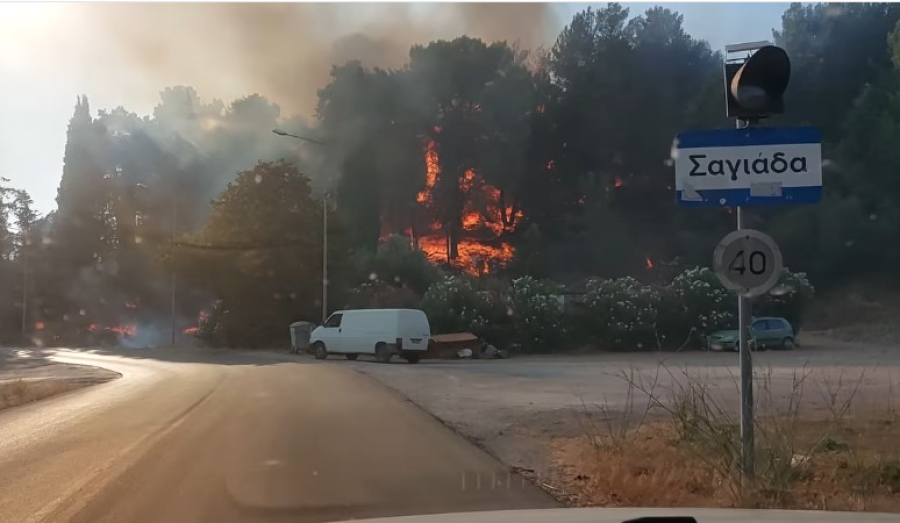 Φωτιές σε Θεσπρωτία και Γιάννενα - Ήχησε το 112