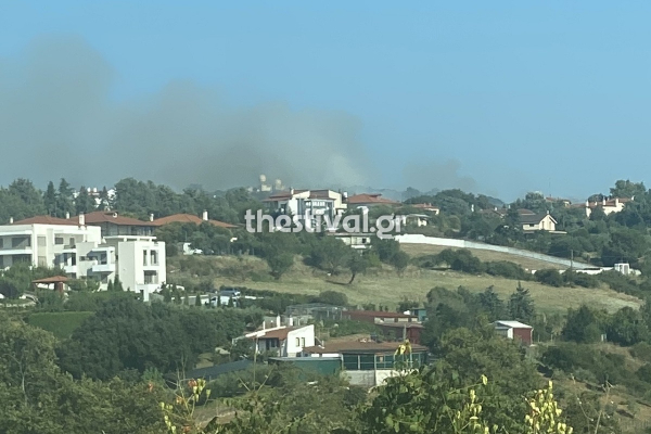 Φωτιά τώρα στη Θεσσαλονίκη κοντά σε σπίτια: Συναγερμός στo Ελληνικό Παιδικό Χωρίο SOS