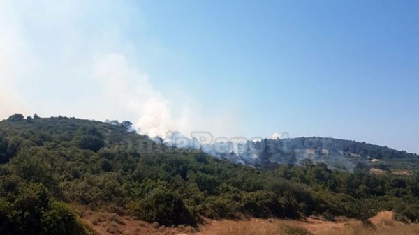 Μεγάλη επιχείρηση κατάσβεσης πυρκαγιάς στην Αταλάντη