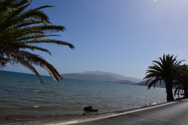 Σάκης Αρναούτογλου: «Δεν τελείωσε η θερμή εισβολή» - Αφρικανική σκόνη και 30άρια αύριο