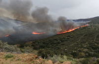 Φωτιά στην Ανδρο: Ενισχύονται οι δυνάμεις της Πυροσβεστικής - Υπό έλεγχο τα μέτωπα σε Σαλαμίνα και Μαρκόπουλο