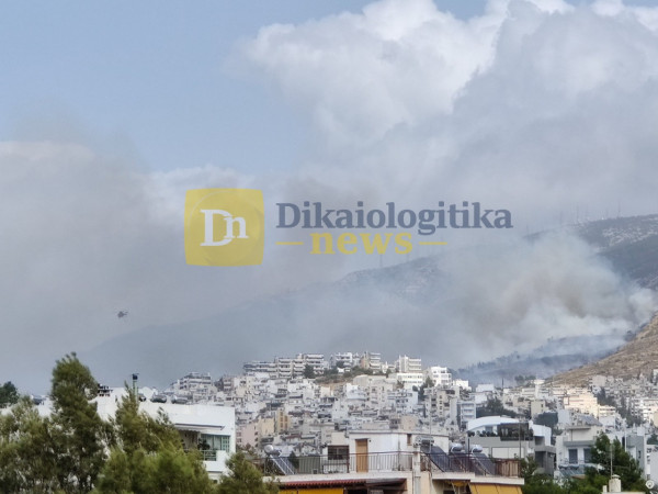 Μεγάλη φωτιά στον Καρέα, οι πρώτες εικόνες (pics &amp; vids)