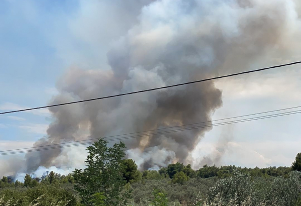 Μεγάλη φωτιά στο Πετρωτό Δομοκού, δύο τα πύρινα μέτωπα (βίντεο)