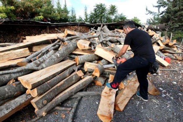 Η Ελλάδα απαγορεύει τις εξαγωγές καυσόξυλων