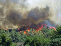 Φωτιά στη Ρόδο: Συνεχίζεται η μάχη με τις φλόγες, εκκενώνεται ο οικισμός Μαρίτσα