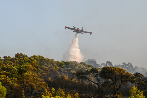 Υψηλός κίνδυνος πυρκαγιάς για το Σάββατο 7/9 - Αναλυτικά οι περιοχές