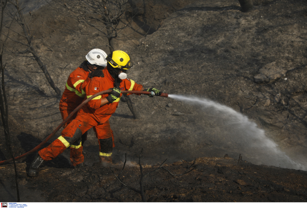 Αλλάζουν δρομολόγιο τα πλοία λόγω της μεγάλης φωτιάς στην Αττική