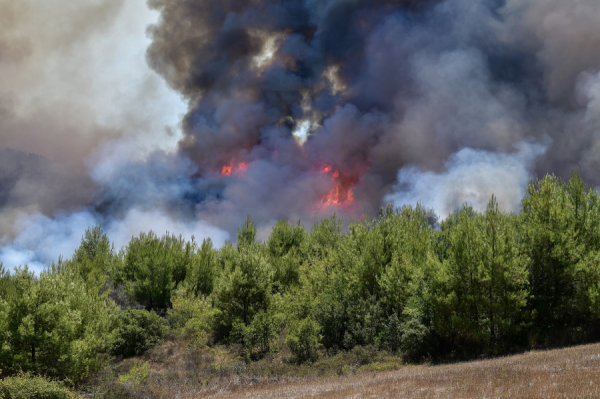 Φωτιά στην Ανάβυσσο, κινητοποιήθηκαν επίγειες και εναέριες δυνάμεις