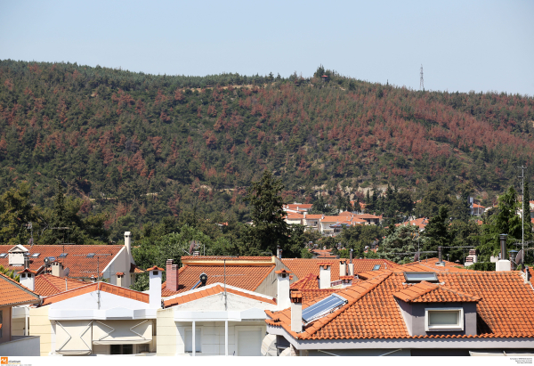 Πρόστιμο επειδή παραβίασε την απαγόρευση κυκλοφορίας στο Σέιχ Σου