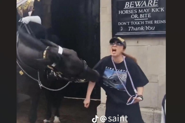 Viral video: Άλογο της βρετανικής φρουράς δαγκώνει τουρίστρια