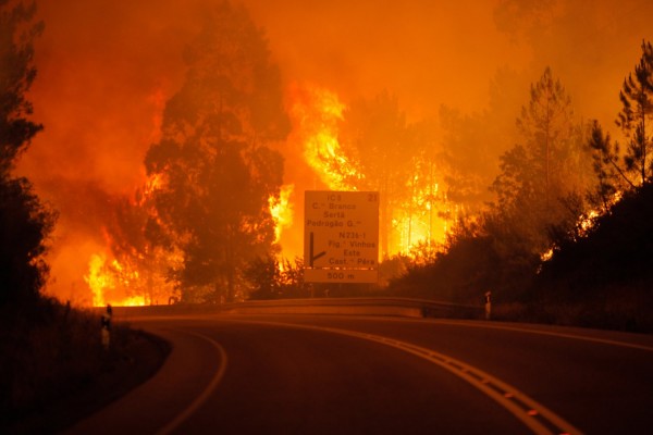 «Πύρινη» τραγωδία στη Πορτογαλία - Τουλάχιστον 62 οι νεκροί