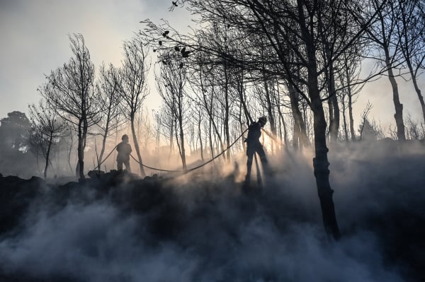 Καλύτερη η εικόνα από τις φωτιές σε Κω και Χίο - Κινδύνεψαν κάτοικοι και τουρίστες