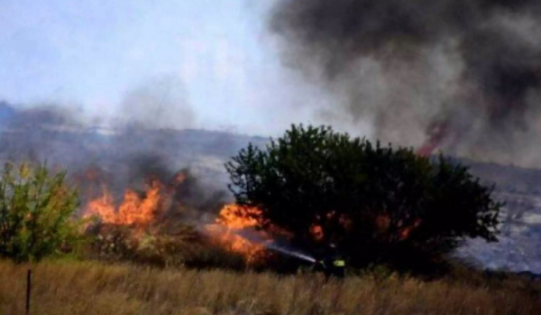 Συναγερμός στην πυροσβεστική: Φωτιά στη Μεσσηνία, επιχειρούν επίγειες και εναέριες δυνάμεις