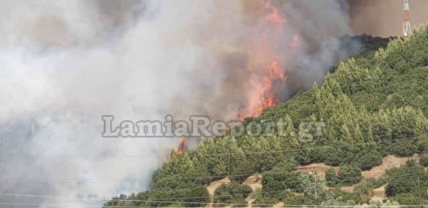 Πυρκαγιά στη Φθιώτιδα - Οι πρώτες εικόνες από το σημείο (pics+vid)